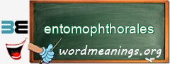 WordMeaning blackboard for entomophthorales